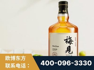简阳-梅见青梅酒